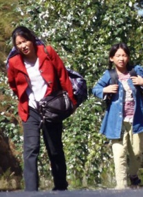 免费人成黄页网站在线观看